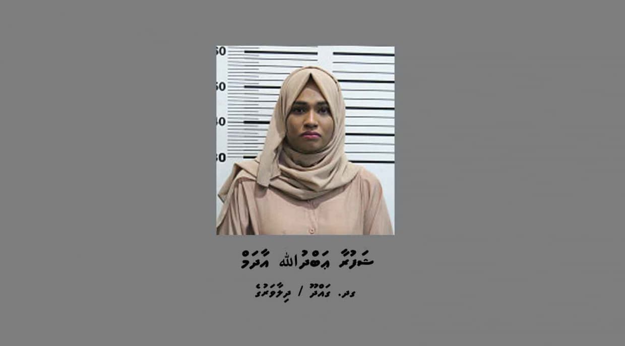 ވަގު ޑޮލަރުތަކެއް ގެންގުޅުނު ދިވެހި އަންހެނަކު 3 މަހާއި 18 ދުވަށް ޖަލަށް